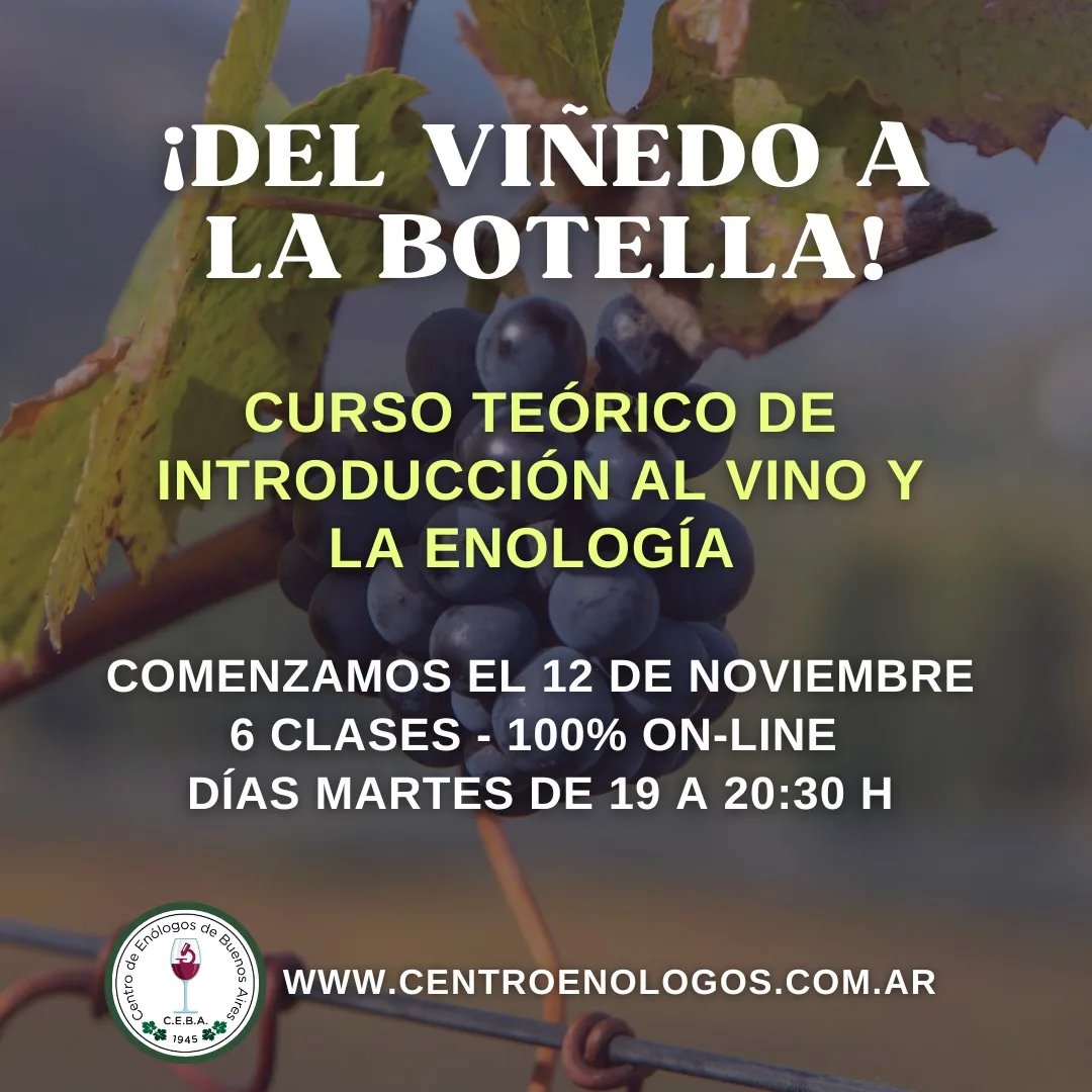 Curso de enologia