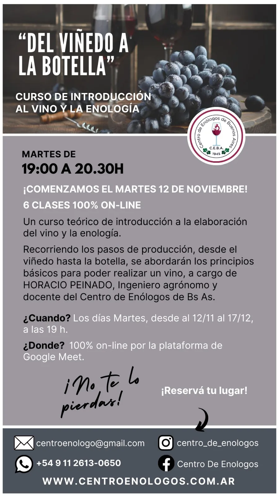 Curso de vino y enología