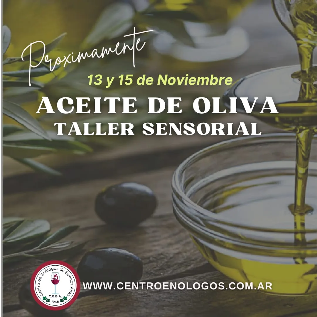 Taller de aceite de oliva